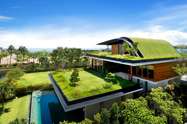Green roof system with plants
